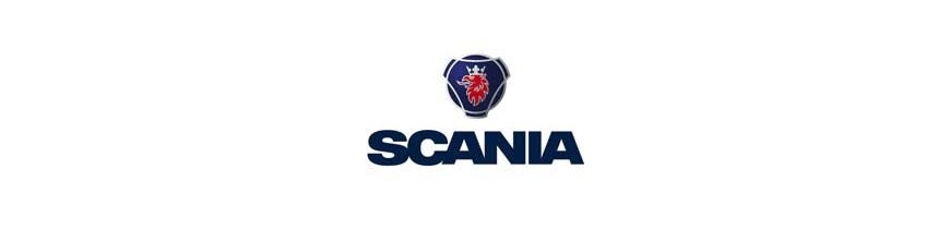 Sunkvežimių užuolaidos Scania vilkikams
